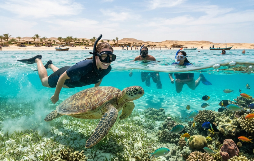 Abu Dabbab Beach Tour: Swim with Turtles